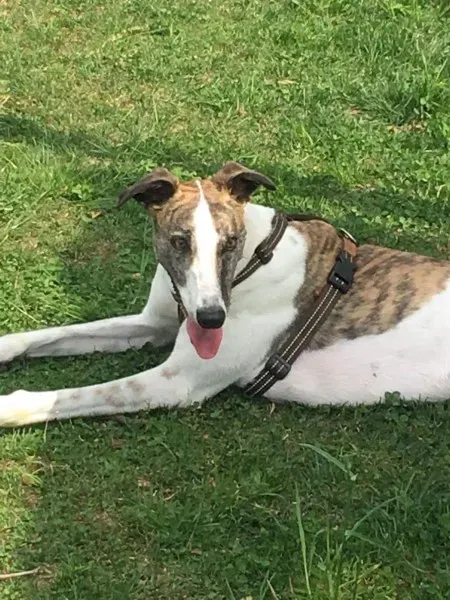 received 792378647584068