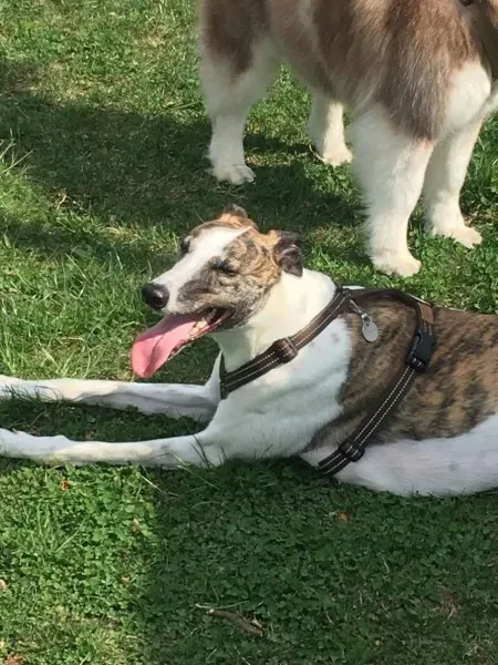 received 792378660917400