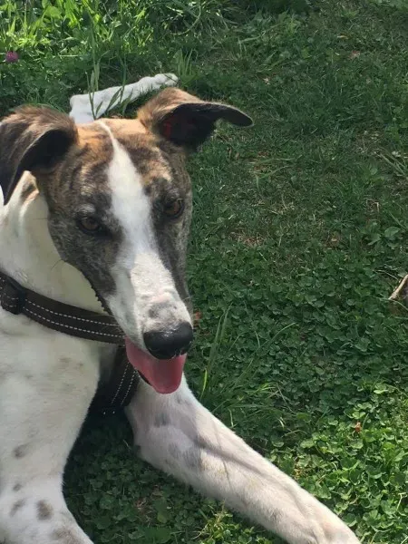 received 792378664250733