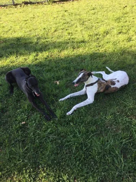 received 792378674250732