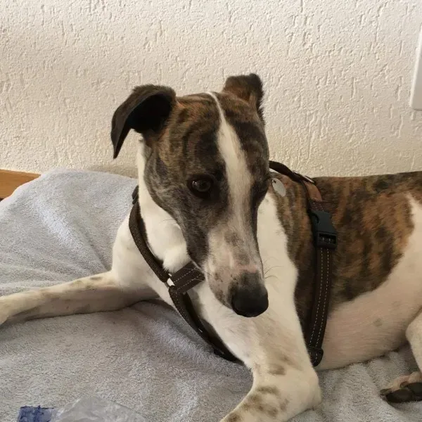 received 792378687584064