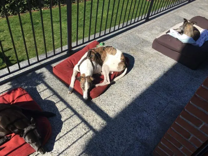 received 792378697584063