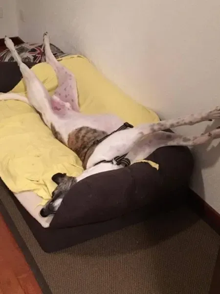 received 792378707584062