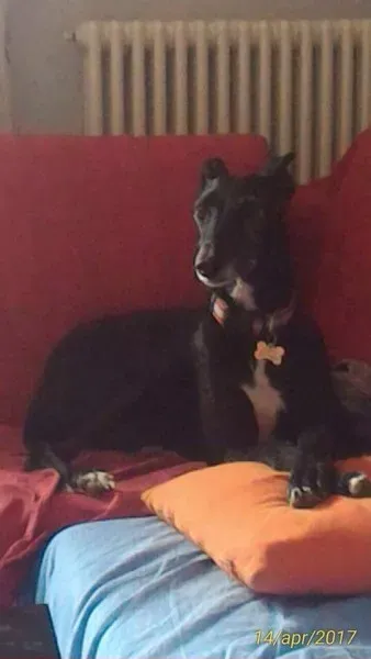 received 794177744070825