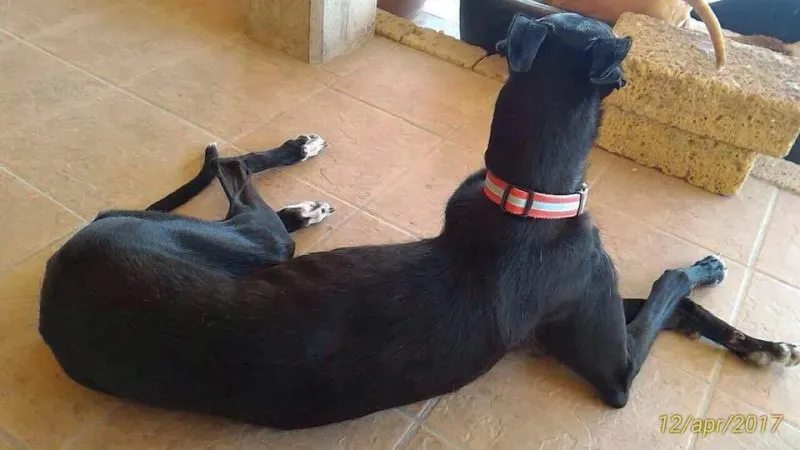 received 794177750737491