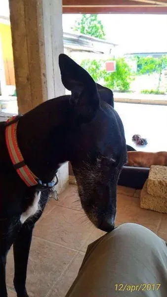 received 794177754070824