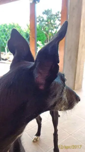 received 794177777404155