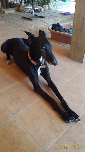 received 794177784070821