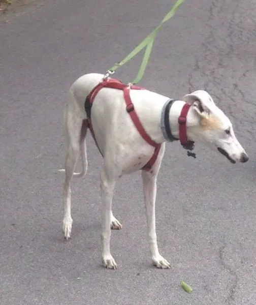 received 827683020720297