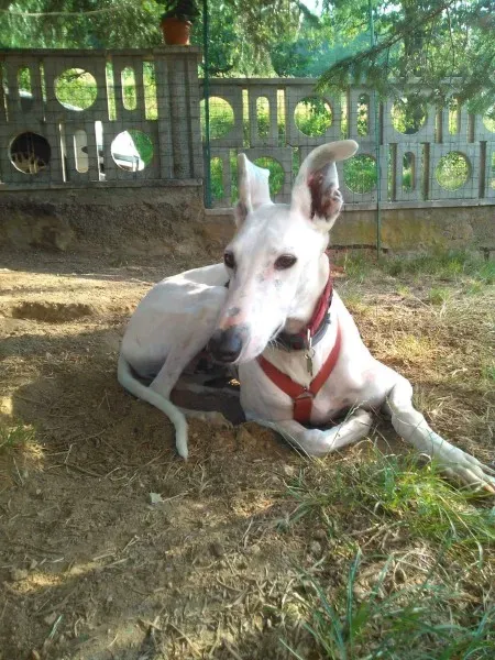 received 827683340720265