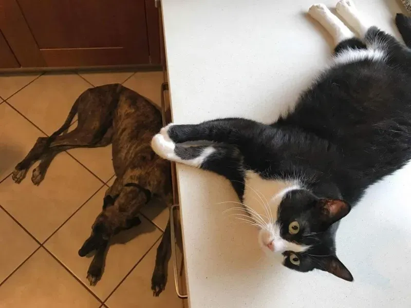 received 832257536929512