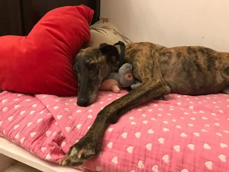 received 835254246629841