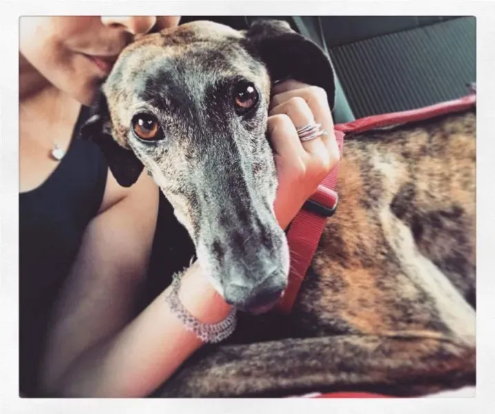 received 835254299963169