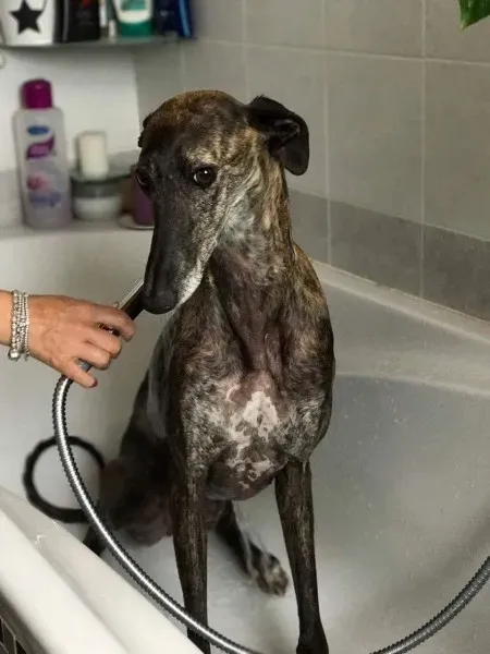 received 837875866367679