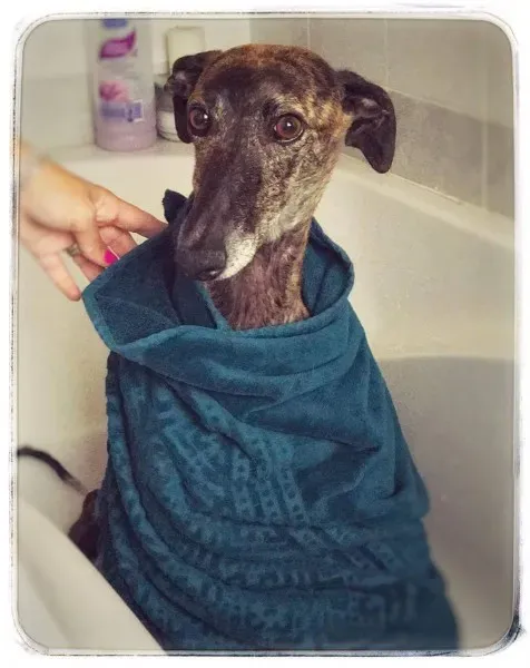 received 837875883034344