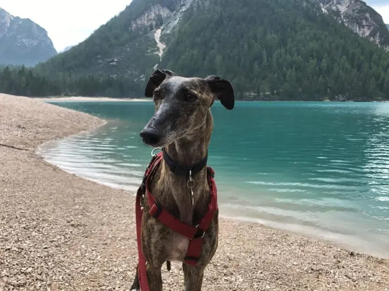 received 849677118520887