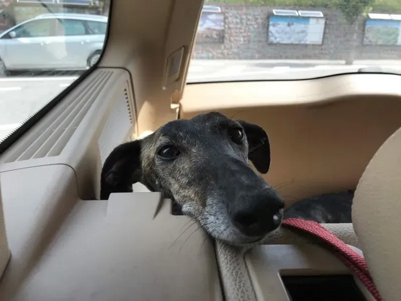 received 849677238520875