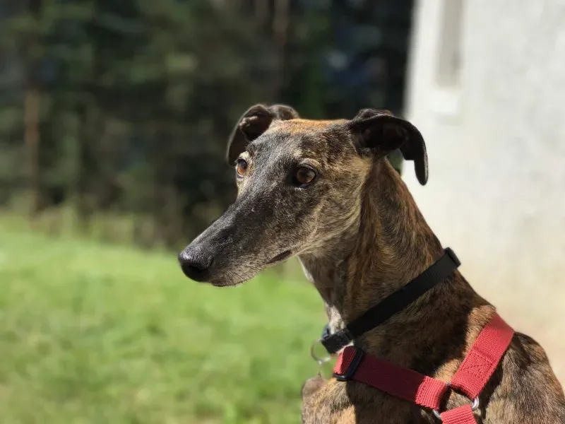 received 849677241854208