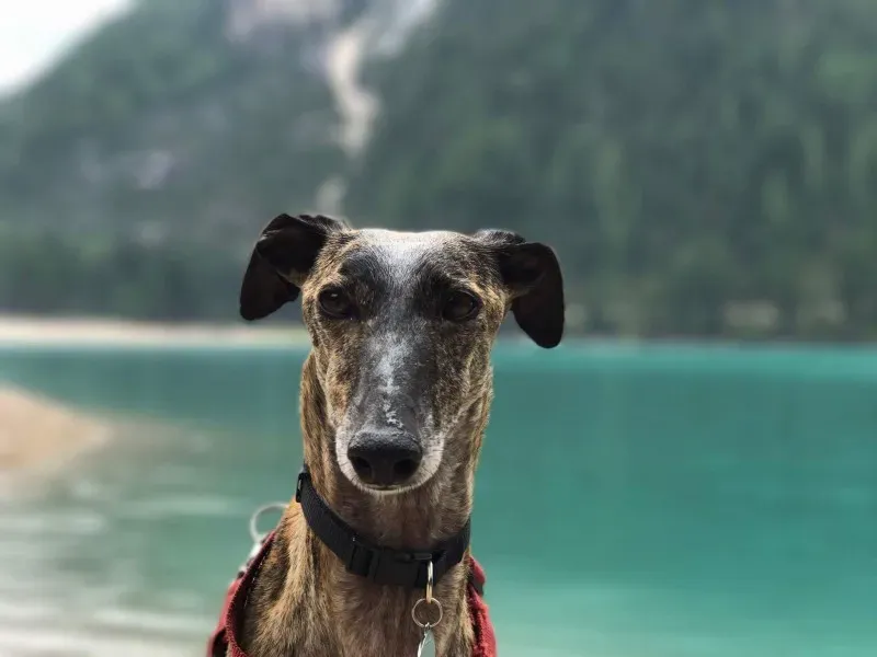 received 849677401854192