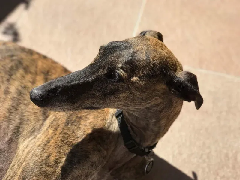 received 849677418520857