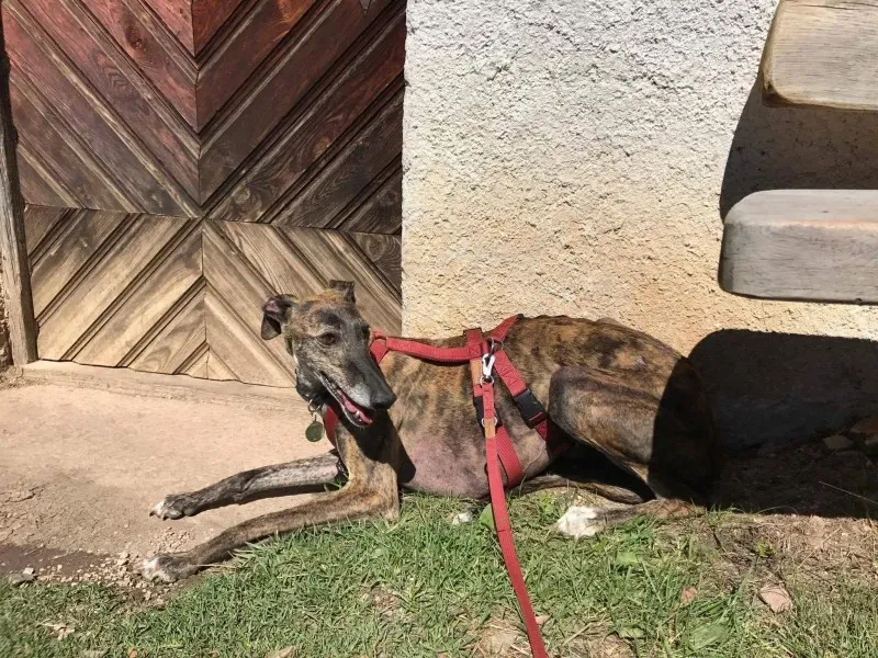 received 849677491854183