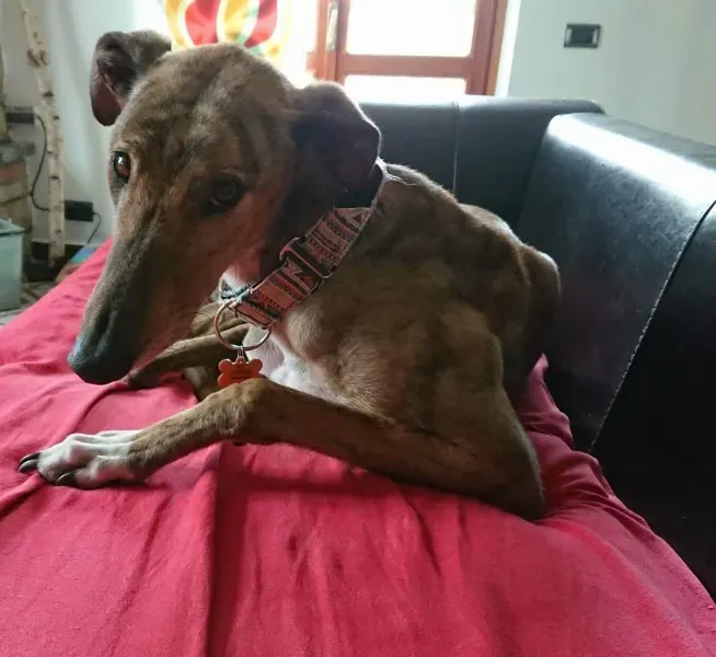 received 882056438616288