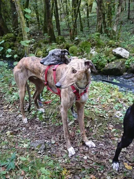 received 882059831949282