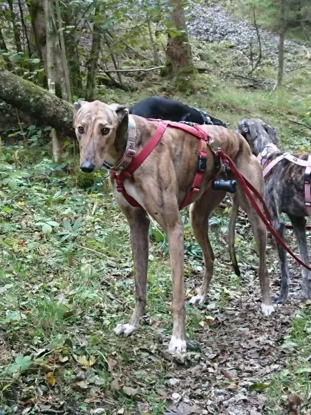 received 882060915282507