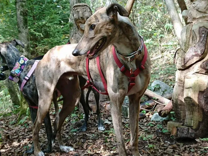 received 882061075282491