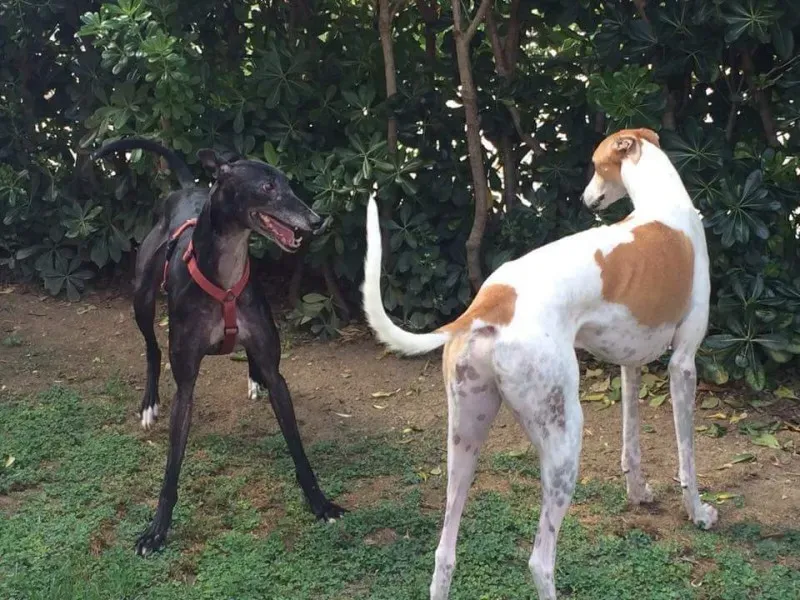 received 903119816446289