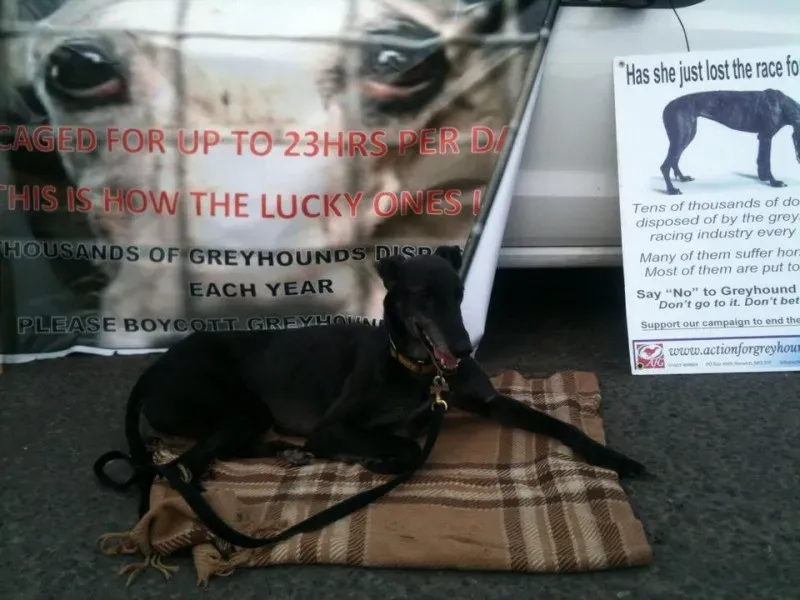 remembrance newcastel 2