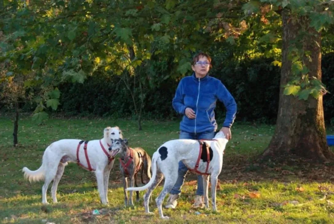 rhona sul ponte 11 pet levrieri