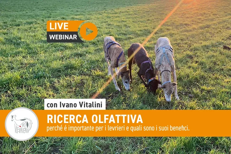 ricerca olfattiva Vitalini