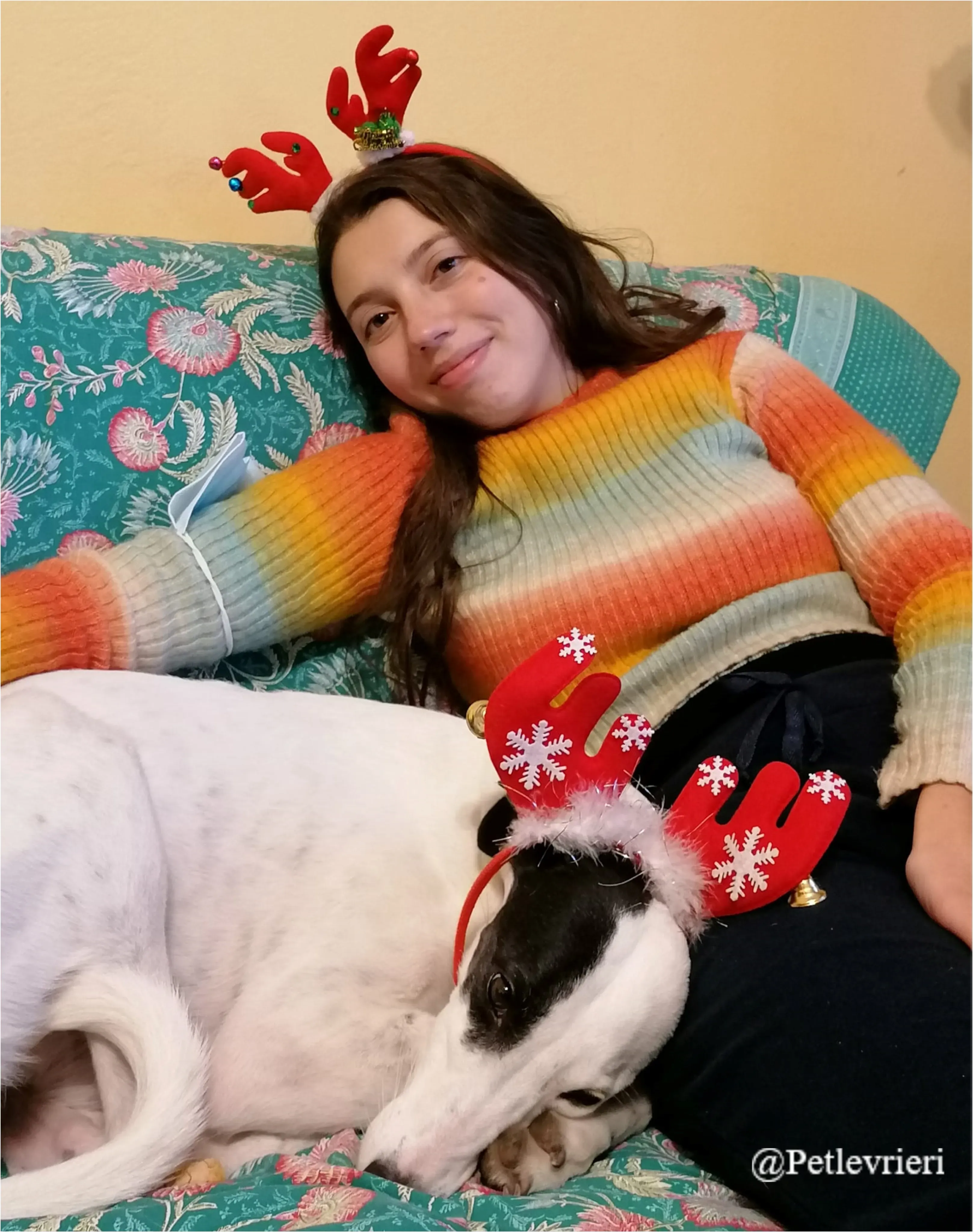roberta pet levrieri natale 2021 3