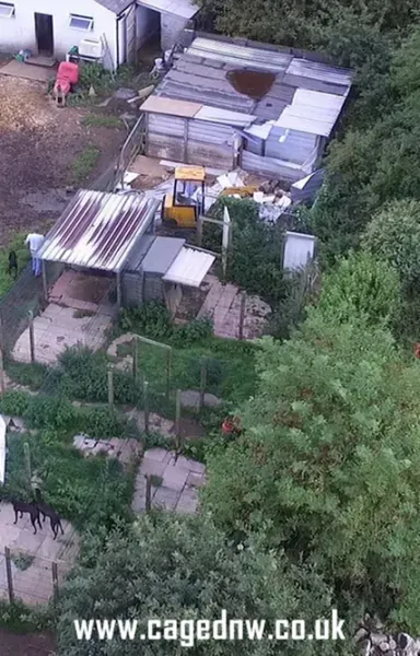 rod eccles kennels 1