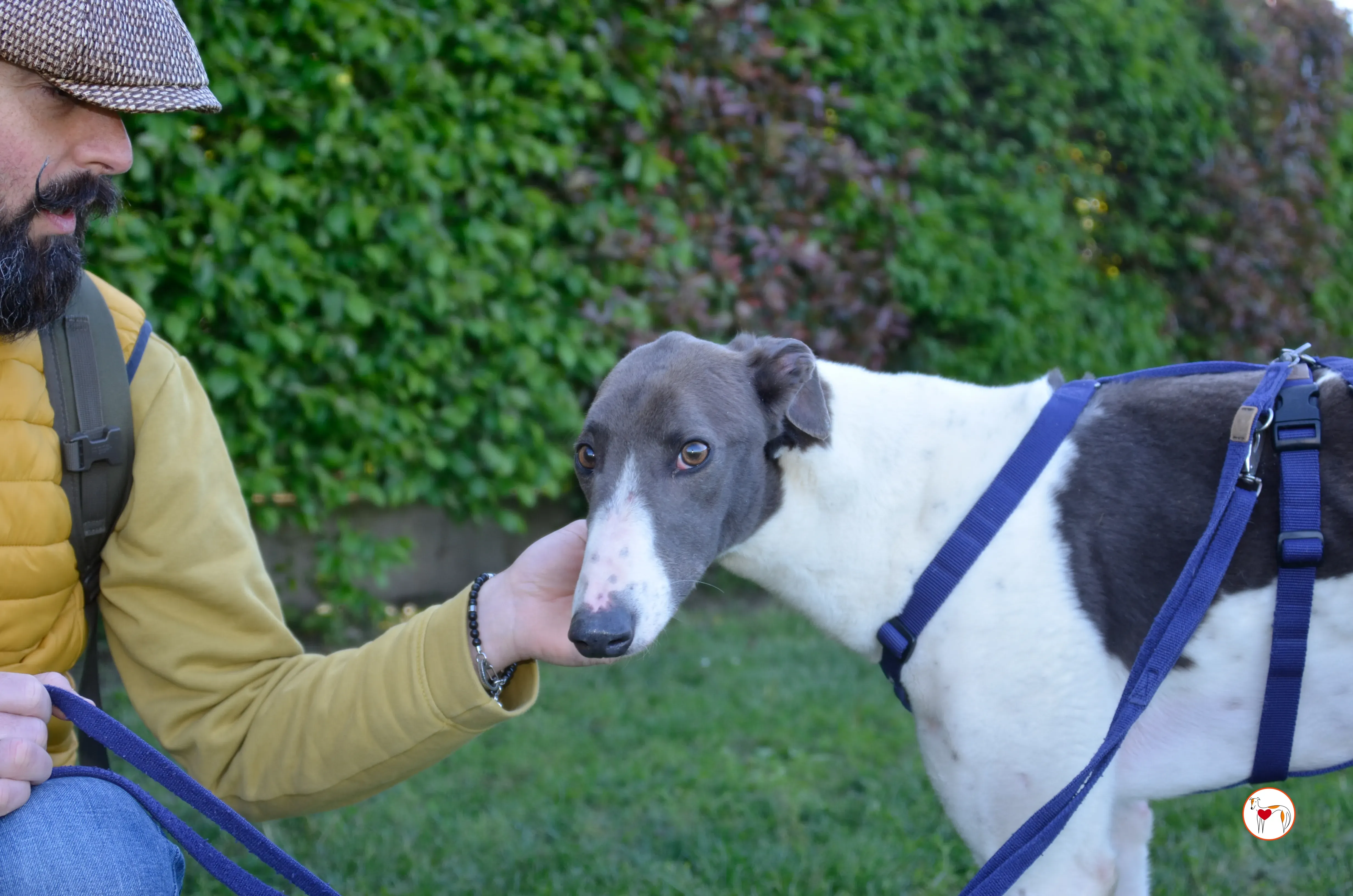 romeo arrivogrey20aprile2024 362