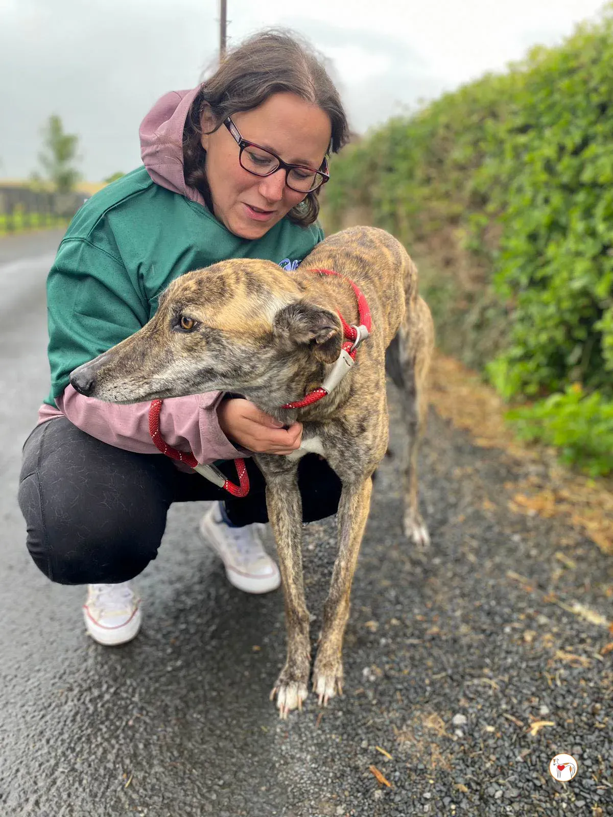 rose grey adozione 23