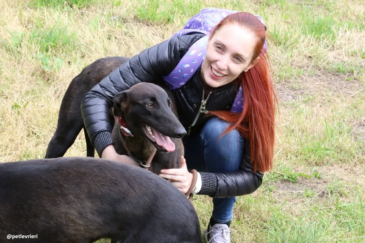 rubble adozione greyhound 10