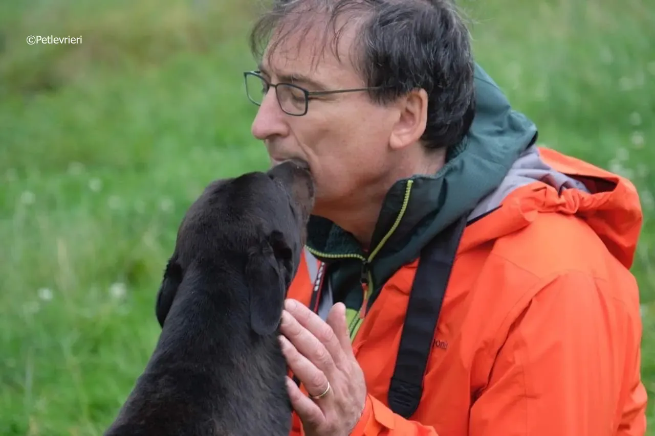 rye adozione levrieri greyhound 10