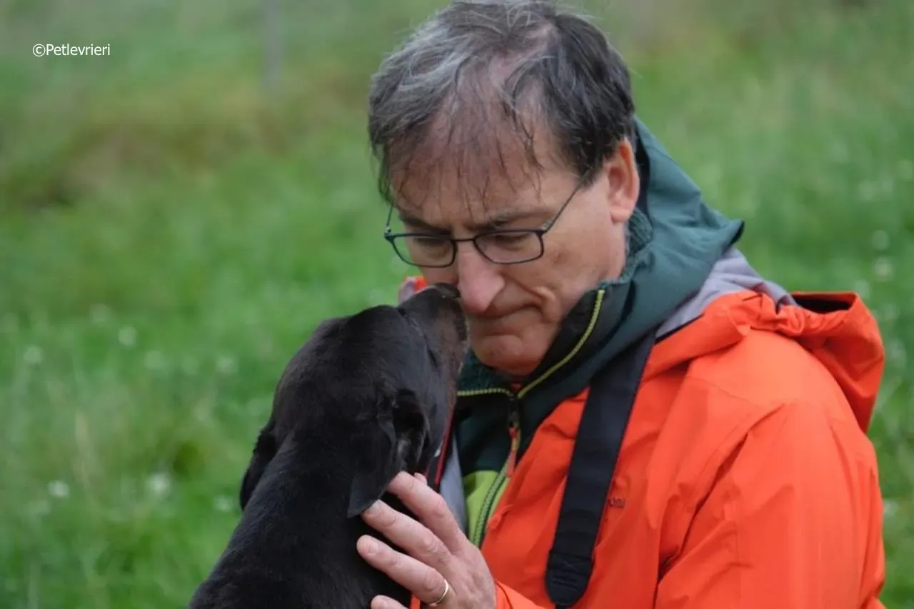 rye adozione levrieri greyhound 11