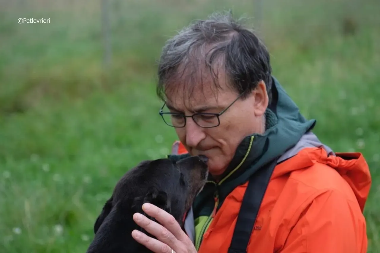 rye adozione levrieri greyhound 12