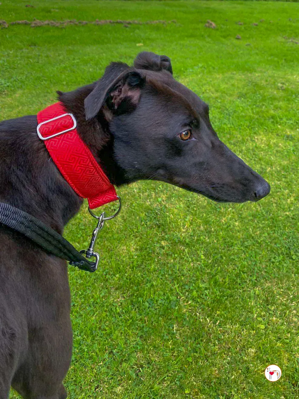 samuel grey adozione 05