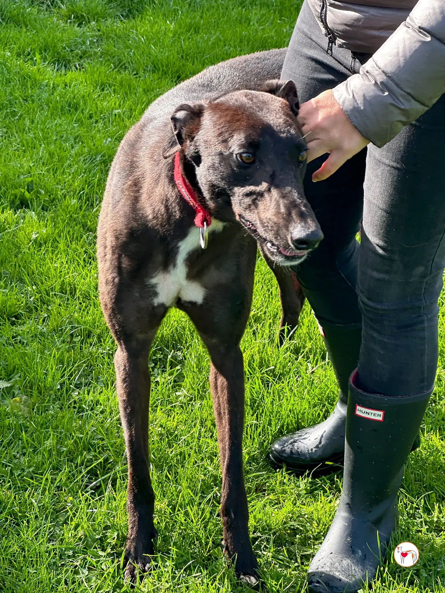 samuel grey adozione 15