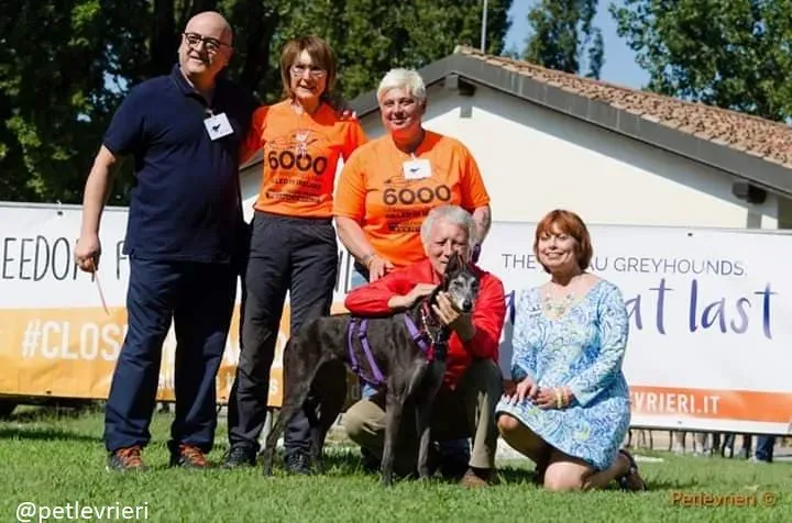 sandasha greyhound macao 3