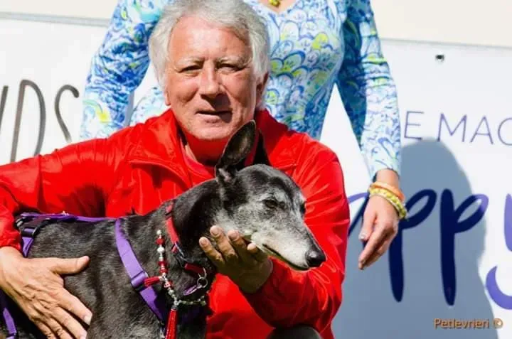 sandasha greyhound macao 5