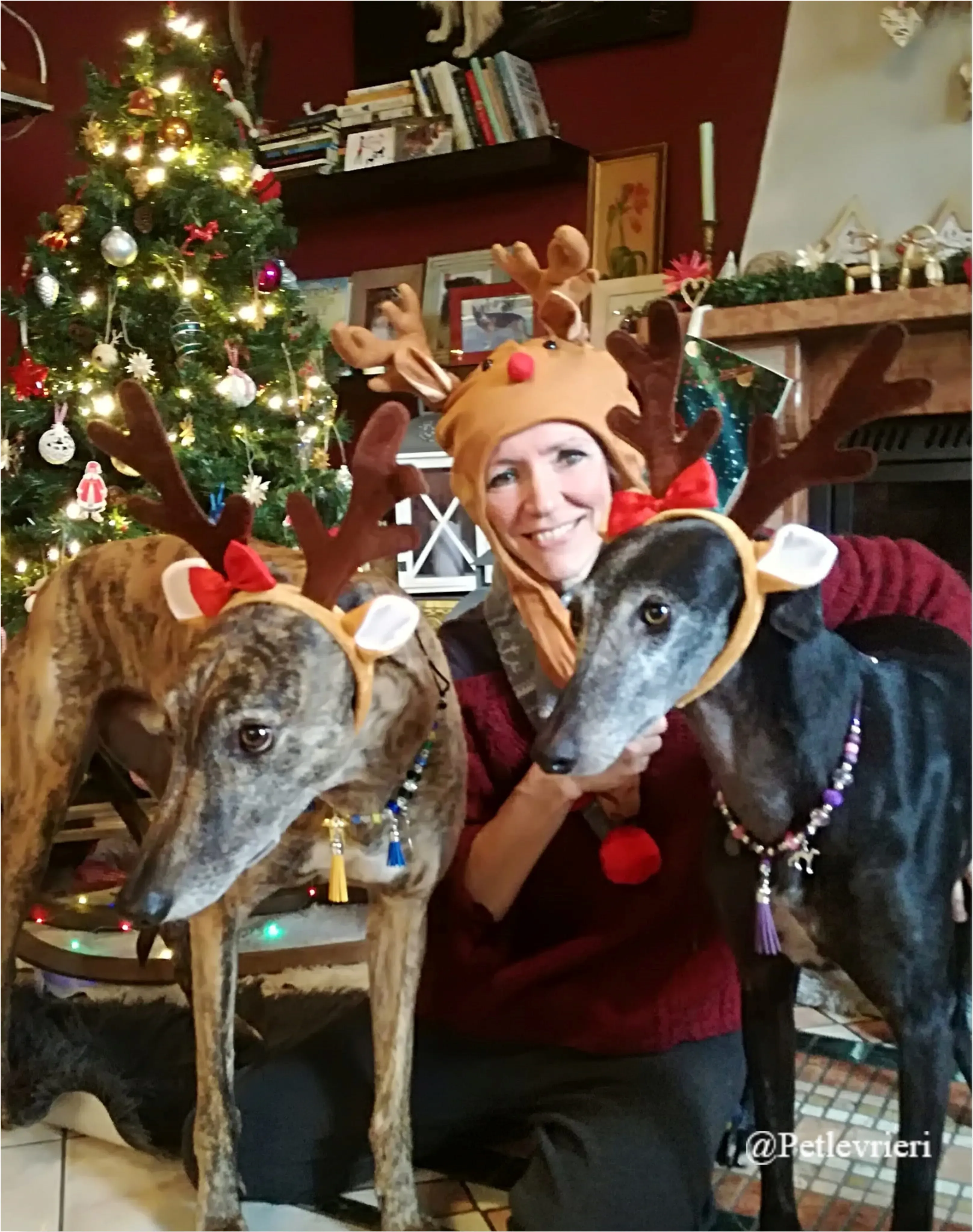 sara paolo pet levrieri natale 2021