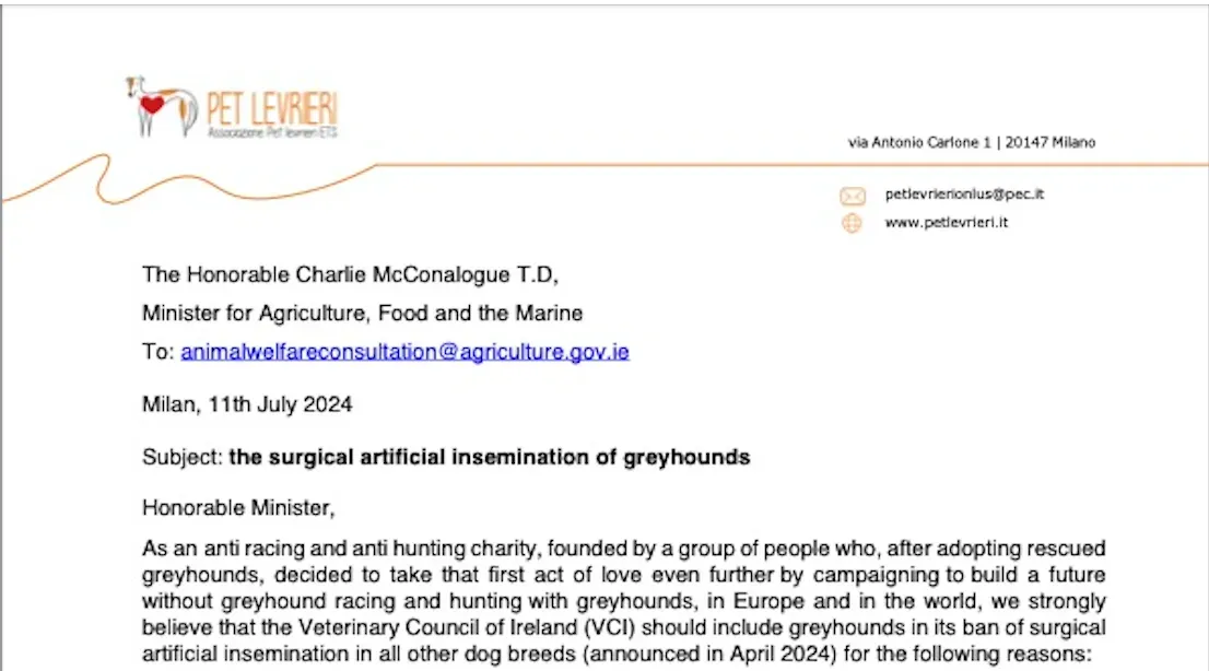 screenshot 2024 07 11 alle 09.47.50