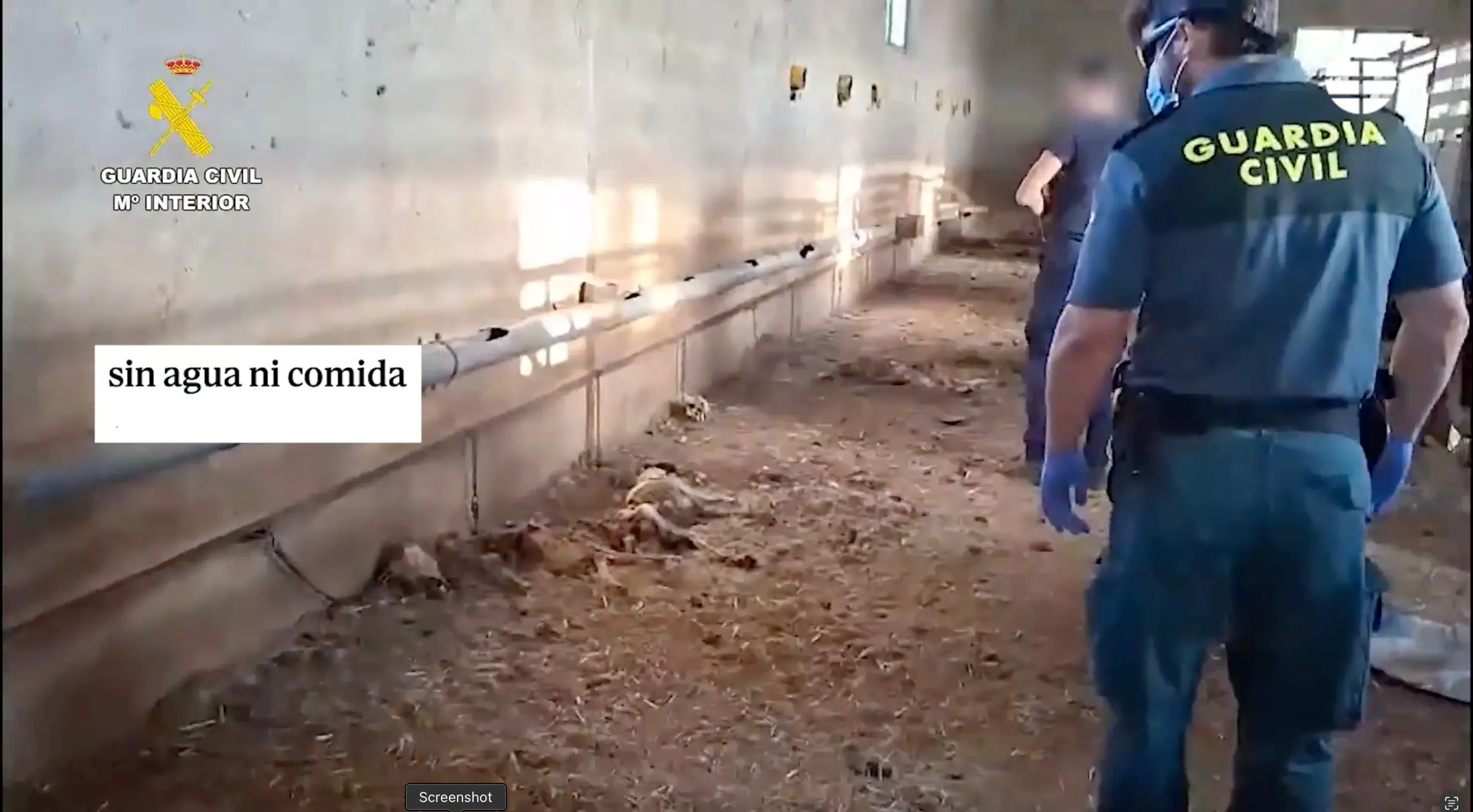 screenshot 2025 08 10 alle 14.31.42