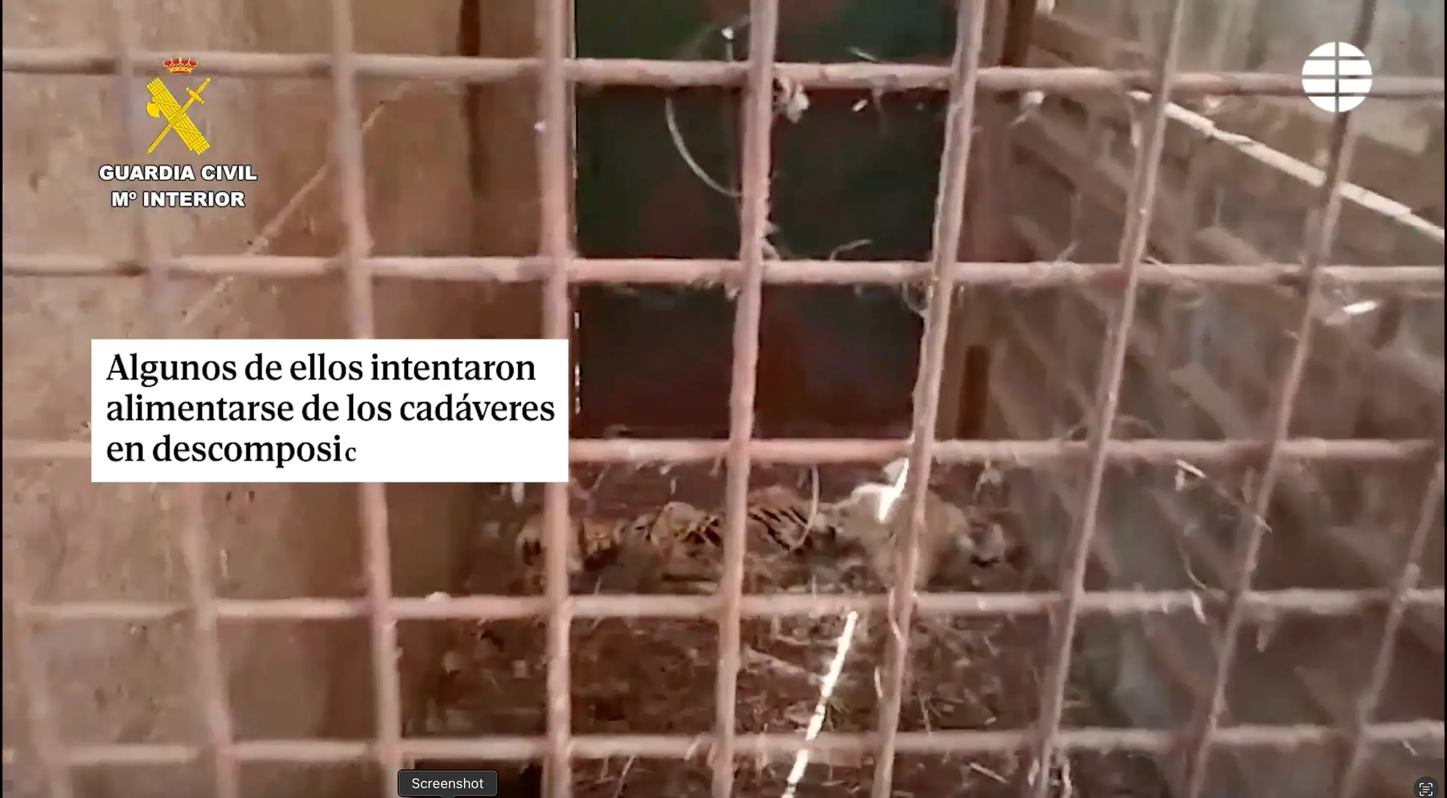 screenshot 2025 08 10 alle 14.32.39