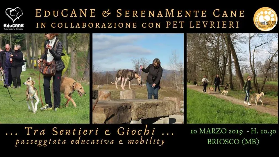 sentieri giochi 10 marzo